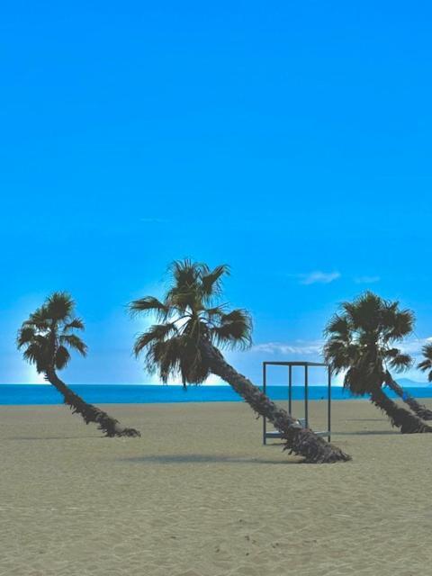 Appartement 4 Personnes Piscine 300 Plage 4Pb287 르발카레스 외부 사진